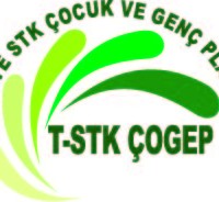 T-STK_COGEP